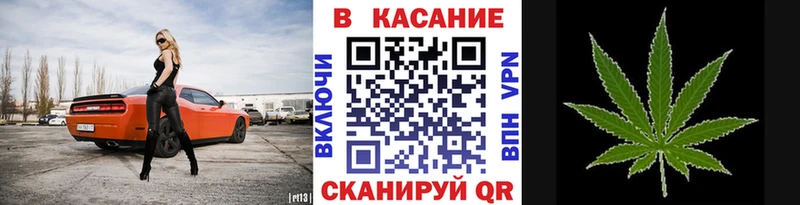 Где купить Белозерск Cocaine  Меф мяу мяу  Кодеин  Галлюциногенные грибы  Гашиш  Марихуана  A-PVP 