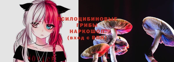 крисы Арсеньев