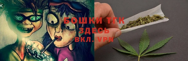 крисы Арсеньев