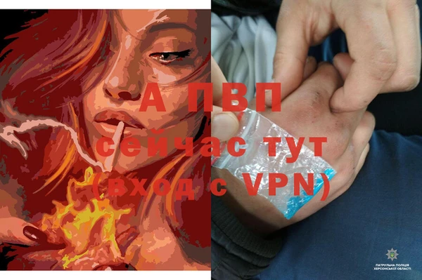 крисы Арсеньев