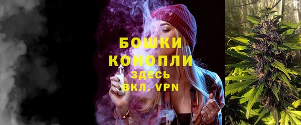 ПСИЛОЦИБИНОВЫЕ ГРИБЫ Аркадак