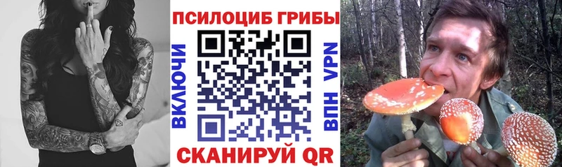 дарнет шоп  Белозерск  Галлюциногенные грибы Psilocybe 